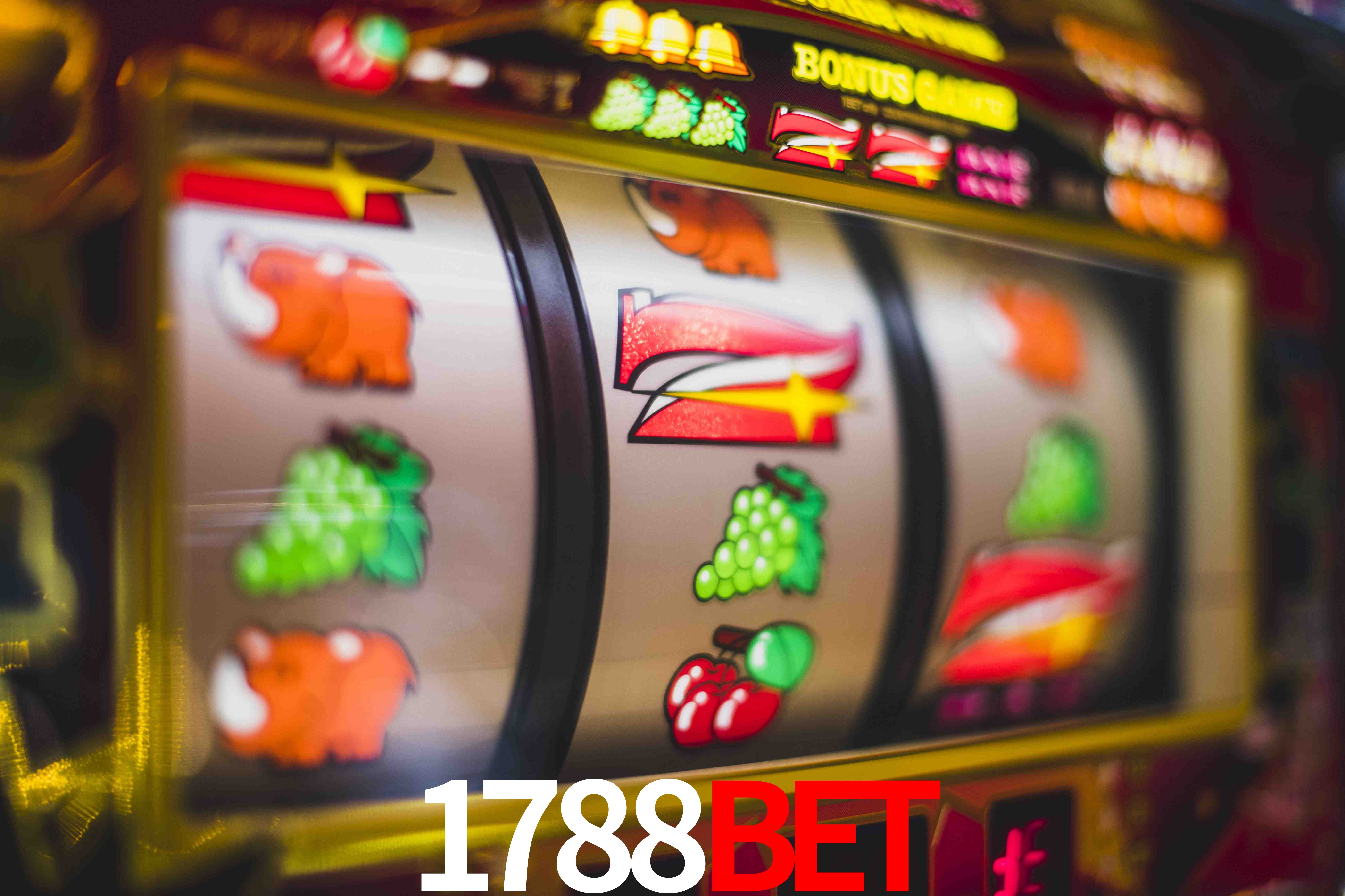 Sports Statistics 1788bet
